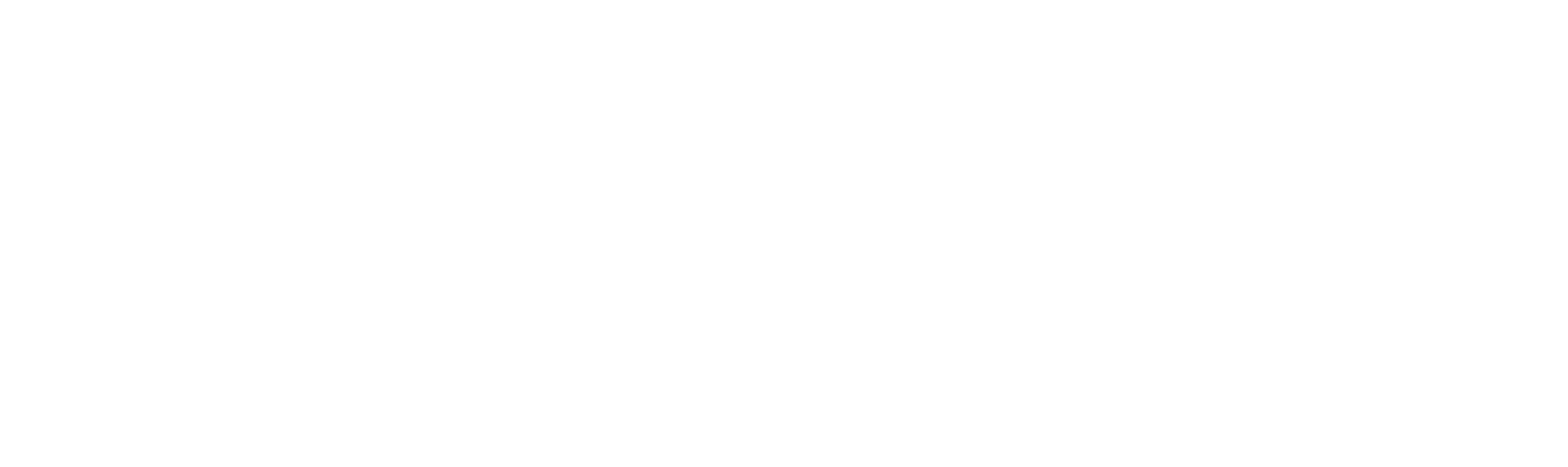 firststar logo white